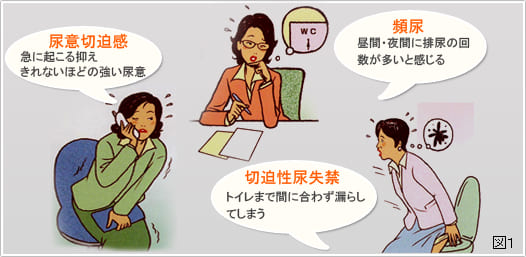 甲状腺が膀胱に与える影響